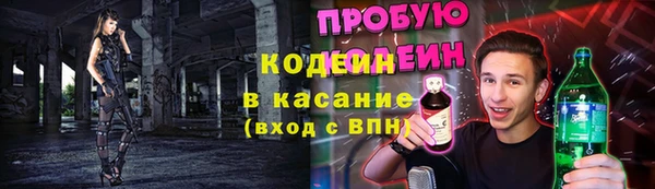 шишки Алексин