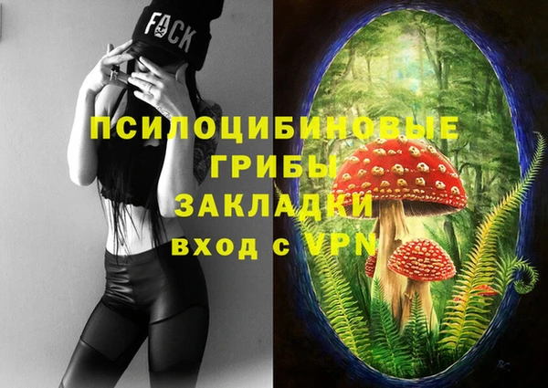 дмт Алзамай
